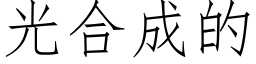 光合成的 (仿宋矢量字庫)