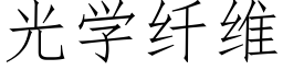 光學纖維 (仿宋矢量字庫)