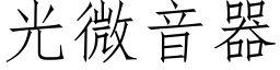 光微音器 (仿宋矢量字庫)