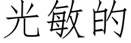 光敏的 (仿宋矢量字庫)