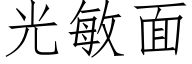 光敏面 (仿宋矢量字庫)