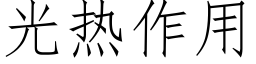 光熱作用 (仿宋矢量字庫)