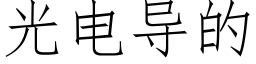 光电导的 (仿宋矢量字库)