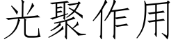 光聚作用 (仿宋矢量字庫)