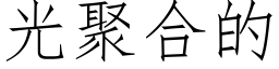 光聚合的 (仿宋矢量字库)