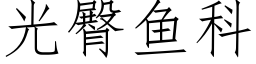 光臀魚科 (仿宋矢量字庫)