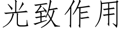 光緻作用 (仿宋矢量字庫)