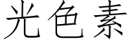 光色素 (仿宋矢量字庫)