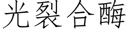 光裂合酶 (仿宋矢量字庫)