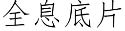 全息底片 (仿宋矢量字庫)