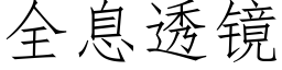 全息透镜 (仿宋矢量字库)