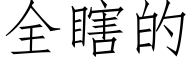 全瞎的 (仿宋矢量字庫)