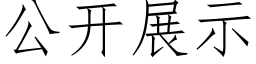 公开展示 (仿宋矢量字库)