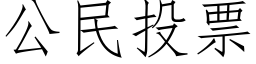 公民投票 (仿宋矢量字库)