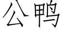 公鸭 (仿宋矢量字库)