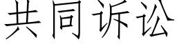 共同诉讼 (仿宋矢量字库)