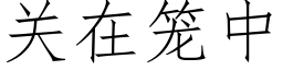 關在籠中 (仿宋矢量字庫)