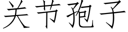 關節孢子 (仿宋矢量字庫)