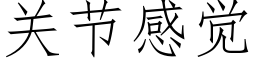 关节感觉 (仿宋矢量字库)