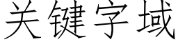 關鍵字域 (仿宋矢量字庫)