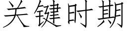 關鍵時期 (仿宋矢量字庫)