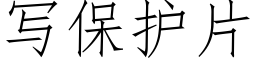 寫保護片 (仿宋矢量字庫)