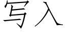 寫入 (仿宋矢量字庫)