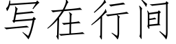 寫在行間 (仿宋矢量字庫)