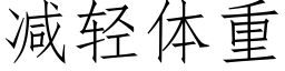 减轻体重 (仿宋矢量字库)