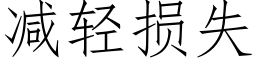 减轻损失 (仿宋矢量字库)