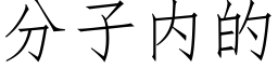 分子内的 (仿宋矢量字庫)