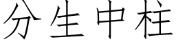 分生中柱 (仿宋矢量字庫)