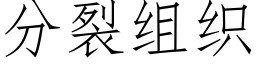 分裂組織 (仿宋矢量字庫)