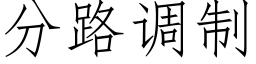 分路調制 (仿宋矢量字庫)