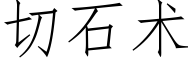 切石術 (仿宋矢量字庫)