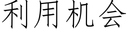 利用机会 (仿宋矢量字库)