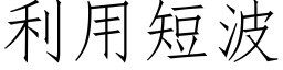 利用短波 (仿宋矢量字库)