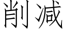 削減 (仿宋矢量字庫)