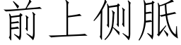 前上側胝 (仿宋矢量字庫)