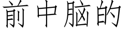 前中腦的 (仿宋矢量字庫)