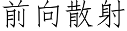 前向散射 (仿宋矢量字庫)