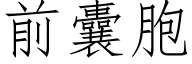 前囊胞 (仿宋矢量字库)