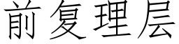 前複理層 (仿宋矢量字庫)