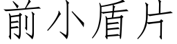 前小盾片 (仿宋矢量字庫)