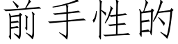 前手性的 (仿宋矢量字庫)