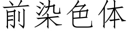 前染色體 (仿宋矢量字庫)