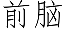 前脑 (仿宋矢量字库)