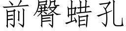 前臀蠟孔 (仿宋矢量字庫)