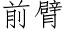 前臂 (仿宋矢量字庫)