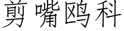 剪嘴鸥科 (仿宋矢量字库)